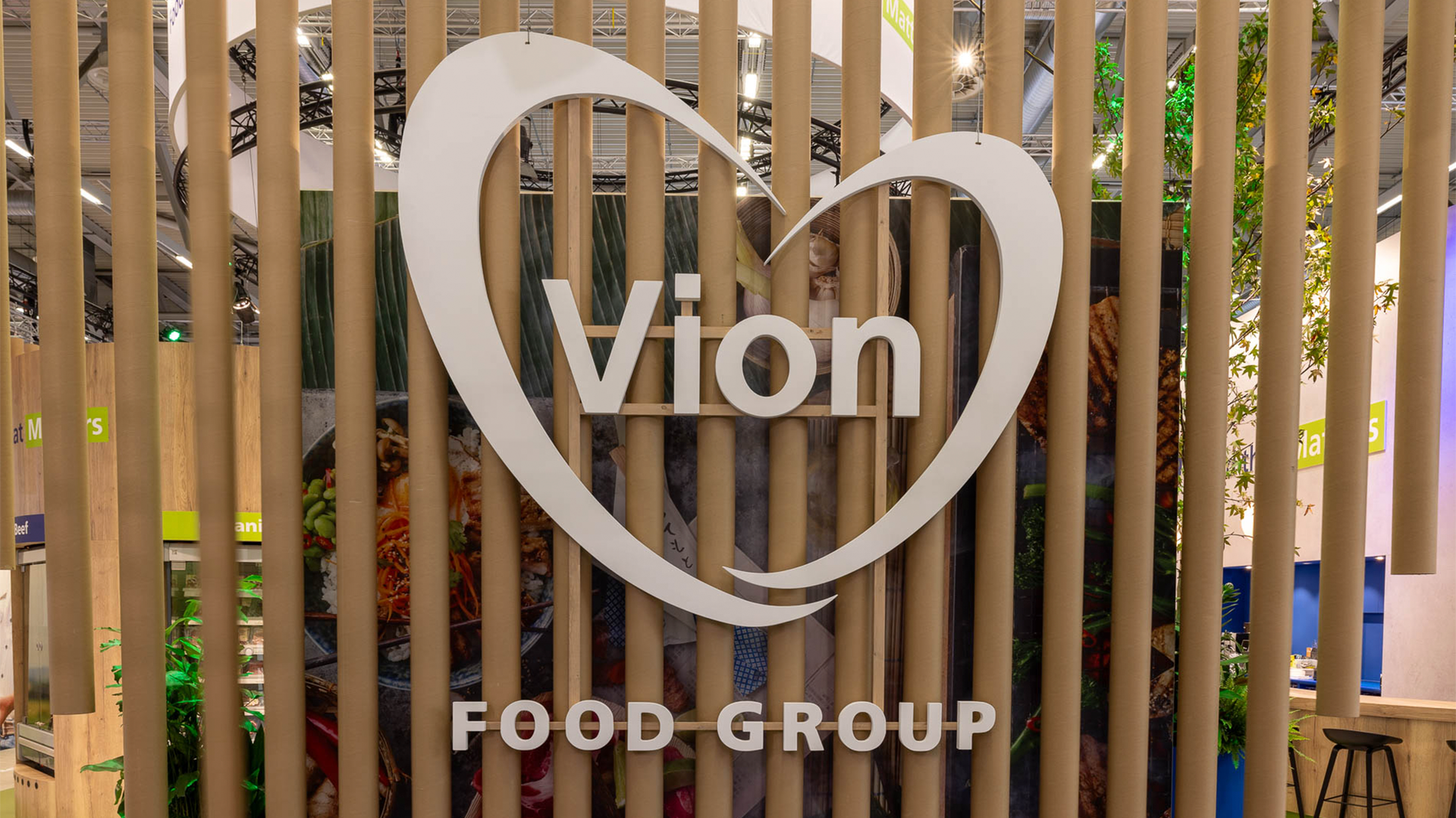 Vion 1920x1080 5